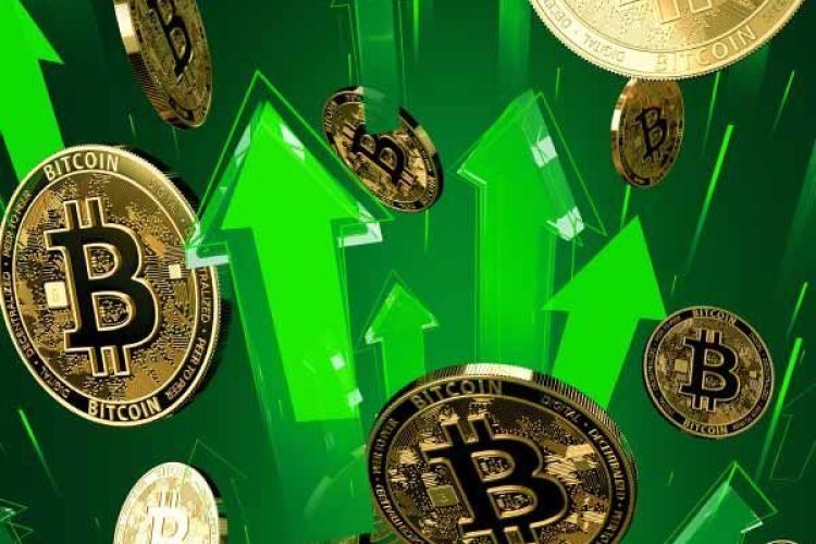 _file683f2cd214ebf-Cyptoscam